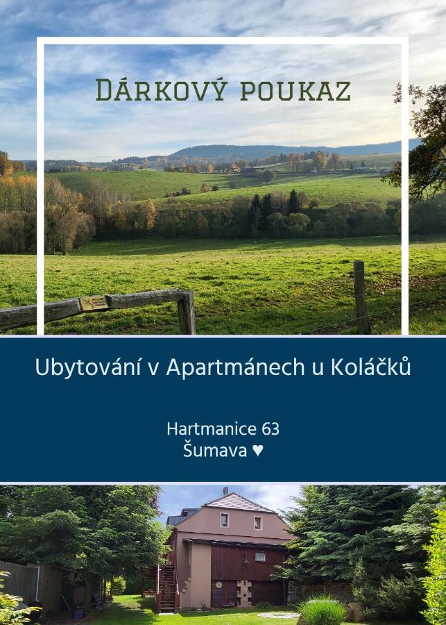 Apartmany U Kolacku Hartmanice  Eksteriør bilde